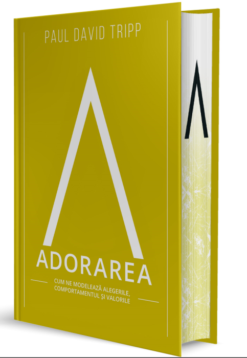 Adorarea: Cum ne modelează alegerile, comportamentul și valorile